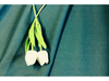 BOTTLE GREEN   Polycotton Sheeting / Lining Fabric  240 cms wide  - 100 gsm - Ralston Fabrics