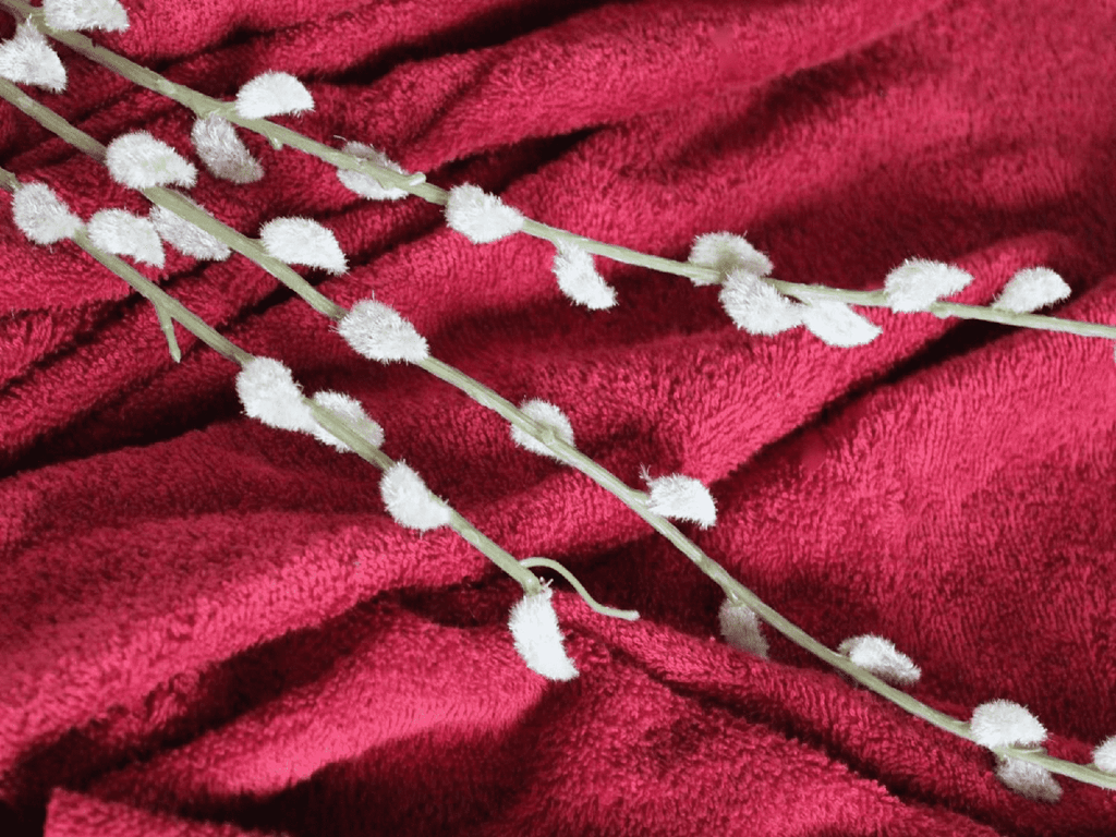 BORDEAUX RED - Pure Cotton Thick LUXURY TOWELLING Fabric 400 gsm - Ralston Fabrics