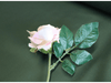 BOTTLE GREEN  Sateen Cotton Curtain Lining with Solpruffe Finish - Ralston Fabrics