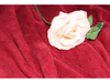 BORDEAUX RED - Pure Cotton Thick LUXURY TOWELLING Fabric 400 gsm - Ralston Fabrics