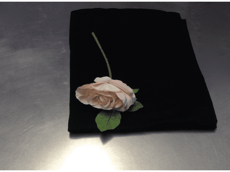 BLACK  Stretch Jersey - Soft Cotton  Jersey Fabric - Ralston Fabrics