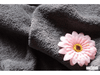 CHARCOAL GREY - Pure Cotton Thick Luxury Towelling Fabric - 400 gsm - Ralston Fabrics
