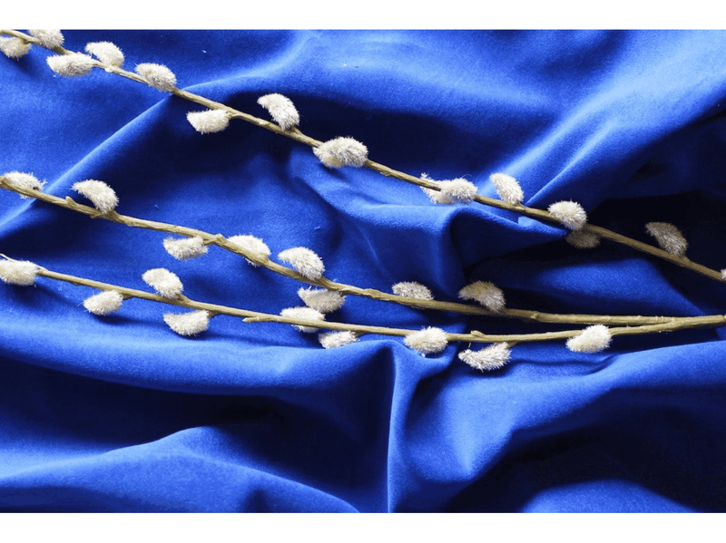 ROYAL BLUE - Cotton Dressmaking Velvet / Velveteen - Lightweight - Ralston Fabrics